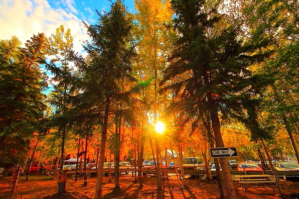アラスカの紅葉