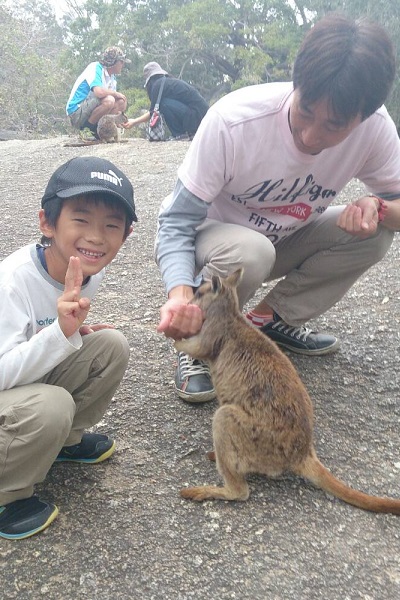 ケアンズ旅行