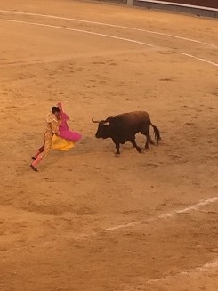 スペイン闘牛ツアー