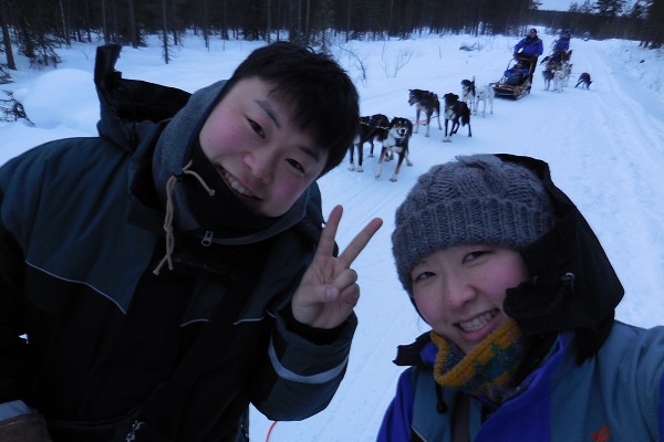 フィンランド・犬ぞりツアー