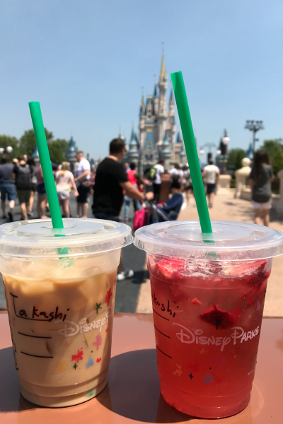 ディズニーワールドの旅