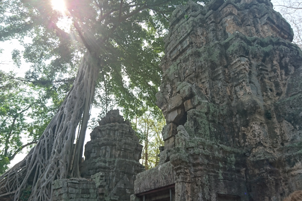 カンボジア旅行