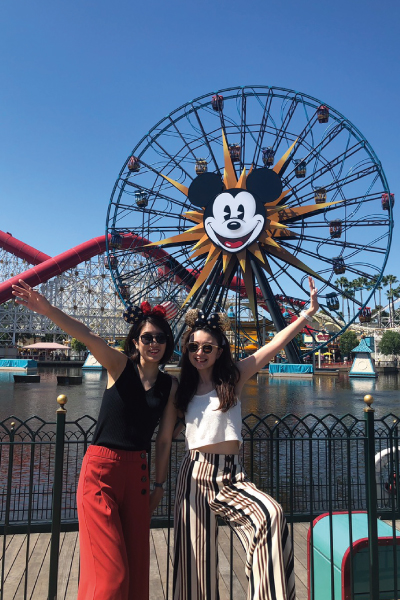 ディズニーランド