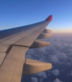 海外航空券
