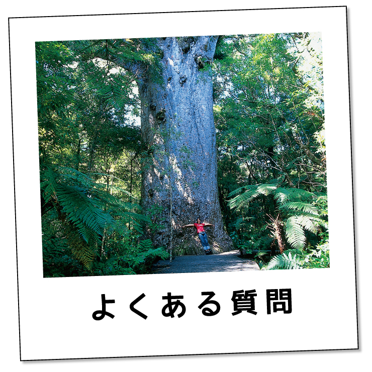 NZ よくある質問