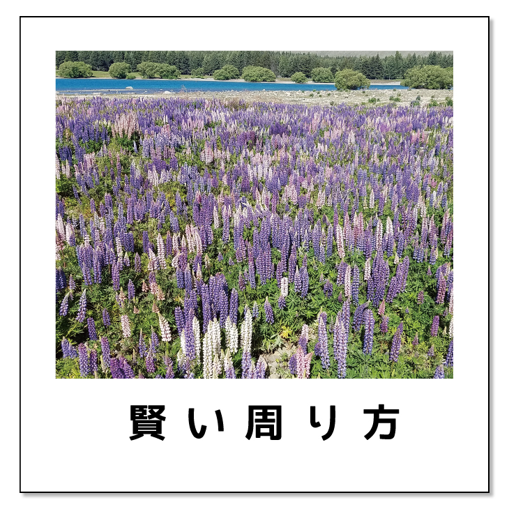NZ 賢い周り方