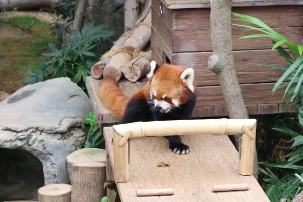 オーシャンパークの動物園