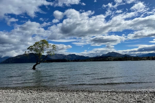 ニュージーランド ワナカ湖