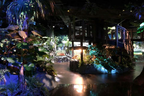 【DMMかりゆし水族館】滞在70分