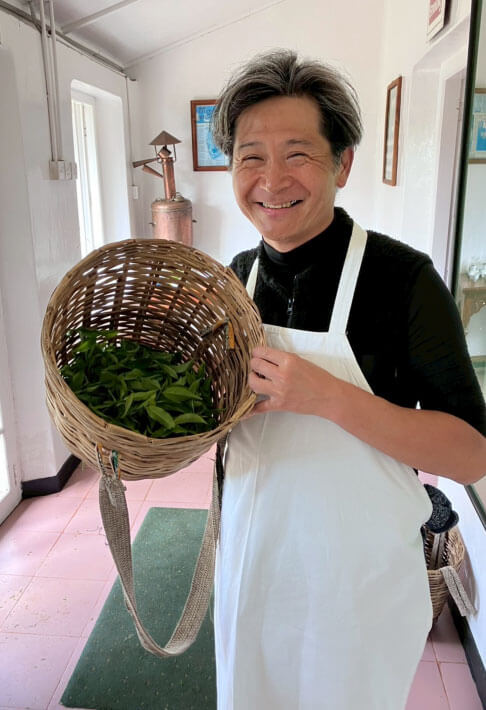 スリランカ セイロンティーの茶摘み体験