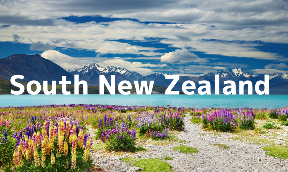 s nz