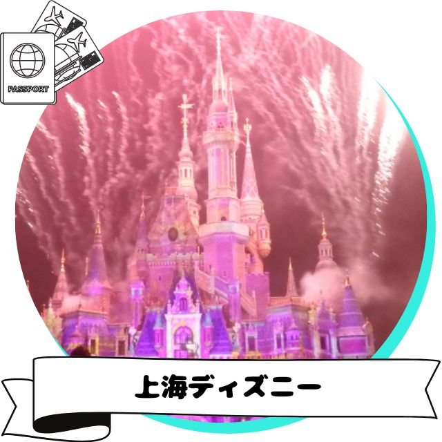 shadisney-top